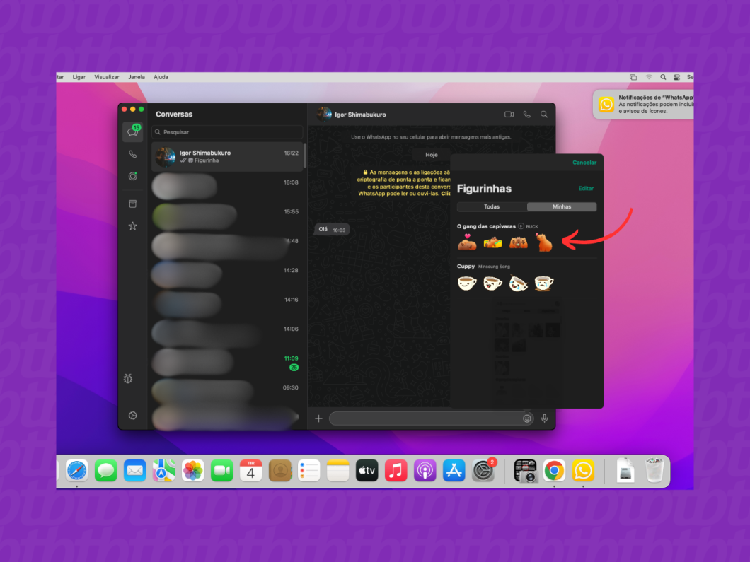 Abrindo uma coleção de figurinhas do WhatsApp pelo Mac