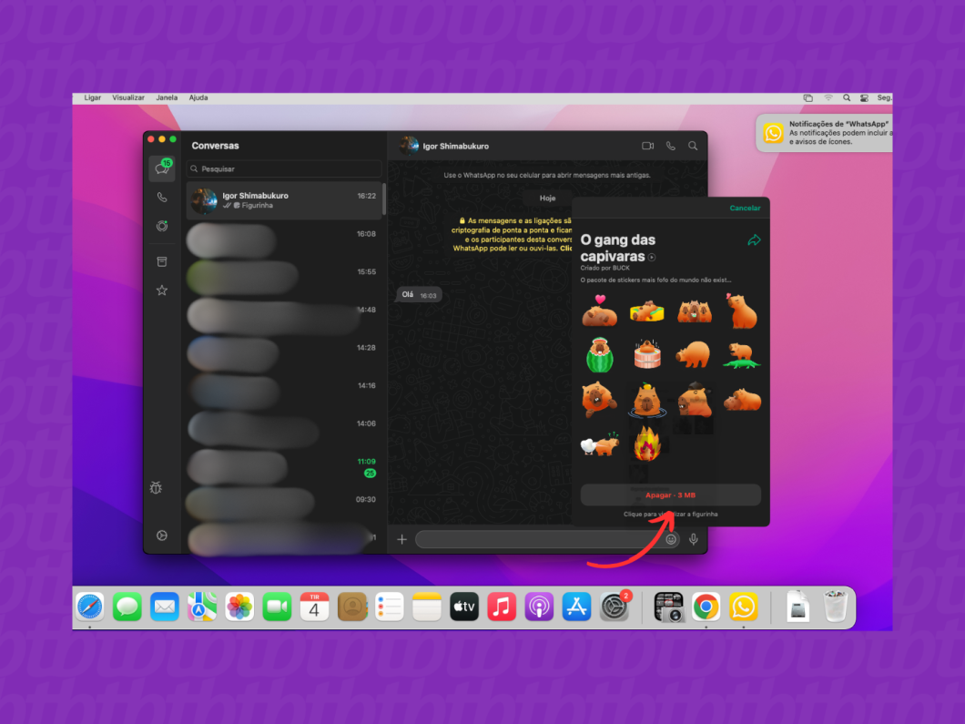 Apagando uma coleção de figurinhas do WhatsApp pelo Mac